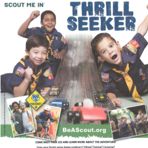 Cub Scouts